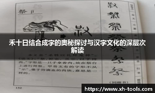 hth华体会登录